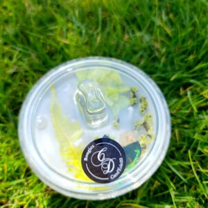 CandEole33 - Bougie Fraicheur Naturelle